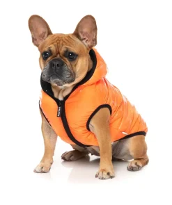 Aeon Hoodie - Orange