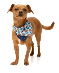 Ahoy There! - Bandana