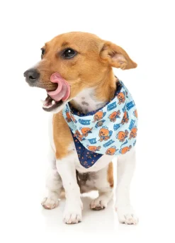 Ahoy There! - Bandana