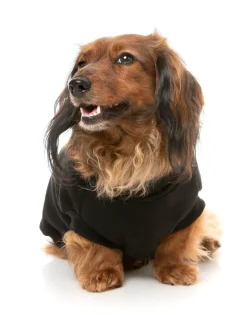 Allday 24 Sweater - Black