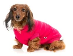 Allday 24 Sweater - Magenta