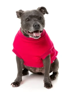 Allday 24 Sweater - Magenta