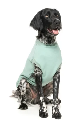 Allday Sweater - Mint