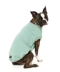 Allday Sweater - Mint