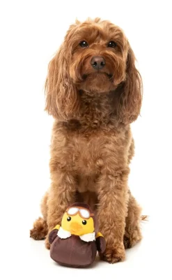 Amelia Quackhart - Dog Toy