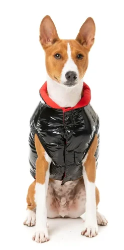 Amor Puffer Jacket - Black