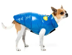 Amor Puffer Jacket - Cobalt Blue