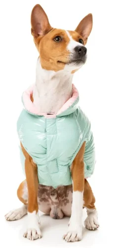 Amor Puffer Jacket - Mint