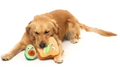 Avocado & Toast 2PK - Dog Toy