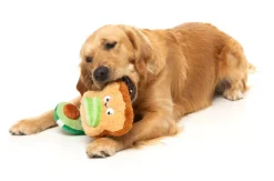 Avocado & Toast 2PK - Dog Toy