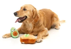 Avocado & Toast 2PK - Dog Toy