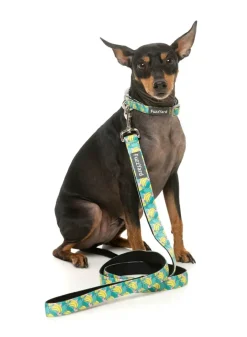 Bananarama - Dog Lead