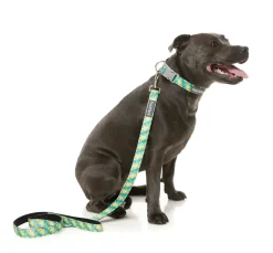 Bananarama - Dog Lead