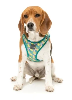 Bananarama - Step In Harness