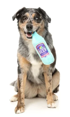 Be Yourself Beer - Dog Toy