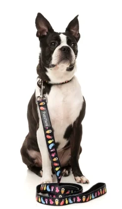 Bed Bugs - Dog Collar