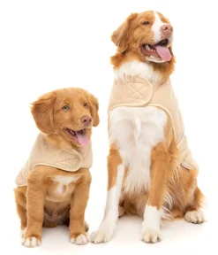 Beige Teddy Wrap Vest