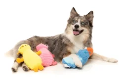 Belly The Bed Bug (Yellow) - Dog Toy