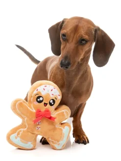 Biscuit Blader - Dog Toy