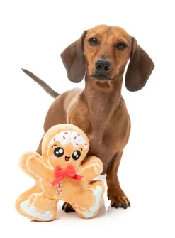 Biscuit Blader - Dog Toy