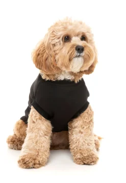 Black Street Sweater