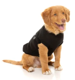 Black Street Sweater