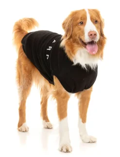 Black Street Sweater