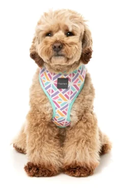 Bubblegum Burst - Dog Harness