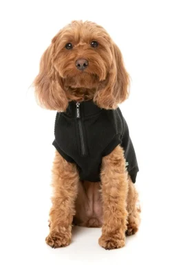 Cambridge Sweater - Black