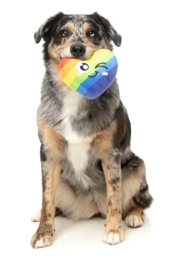 Can't Think Straight - Dog Toy