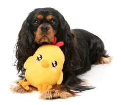 Chicka-Dee - Dog Toy