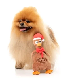 Chicken It Twice Chook - Dog Toy