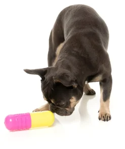 Chill Pill - Interactive Chew Toy