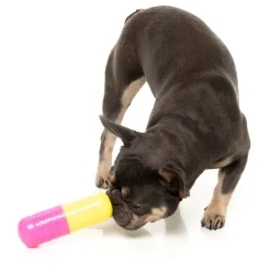 Chill Pill - Interactive Chew Toy