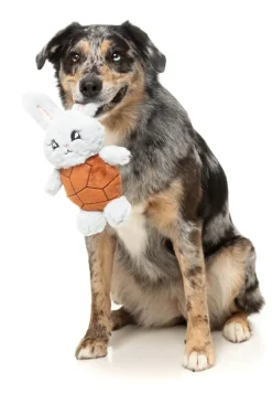 Choc Belly Bunny - Dog Toy