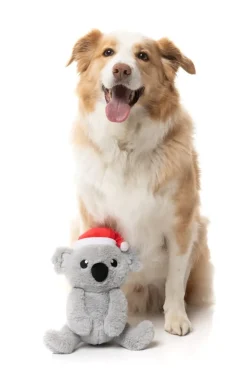 Coco Koala - Dog Toy