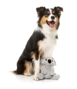 Coco Koala - Dog Toy