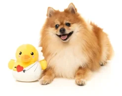 Cupid Duck - Dog Toy