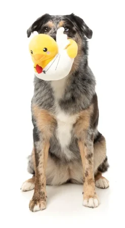 Cupid Duck - Dog Toy