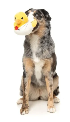 Cupid Duck - Dog Toy