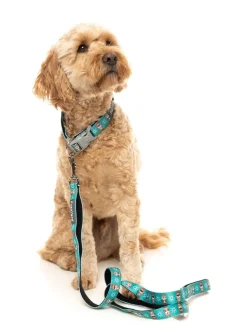 Disco Deers - Dog Leash