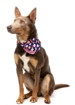 Dog Bandana - Bacon and Eggs