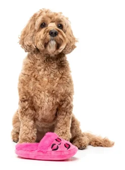 Dog Toy - Angel Slipper