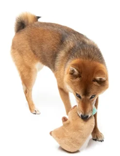 Dog Toy - Capy-ccino