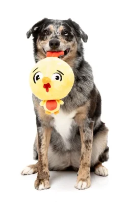 Dog Toy - Hen Diesel
