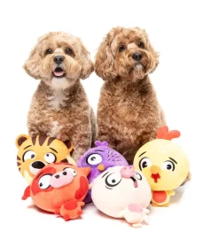 Dog Toy - Hen Diesel