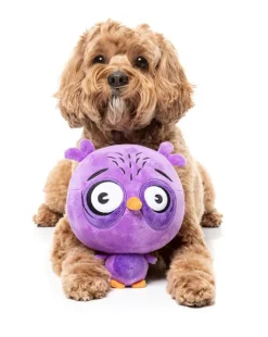 Dog Toy - Hoo-dini