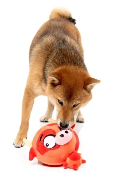 Dog Toy - Moo-hammad Ali