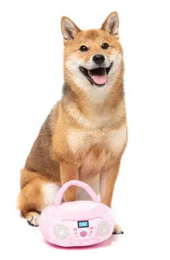 Dog Toy - Portable CD Player