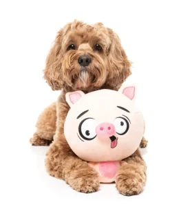 Dog Toy - Snoop Hogg